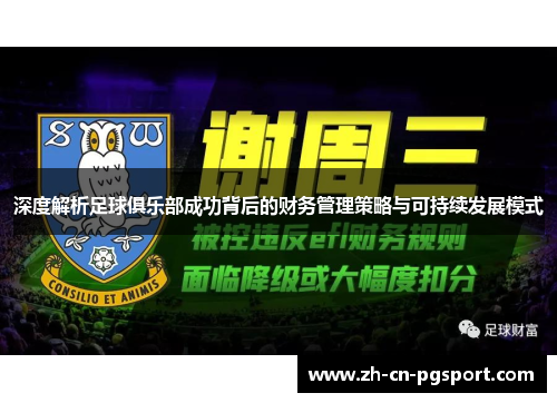 深度解析足球俱乐部成功背后的财务管理策略与可持续发展模式