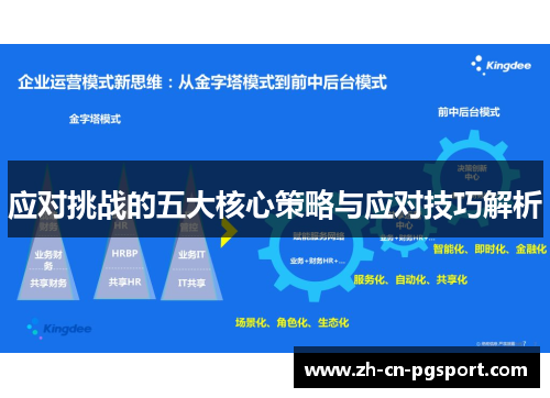 应对挑战的五大核心策略与应对技巧解析