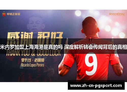 米内罗加盟上海海港是真的吗 深度解析转会传闻背后的真相