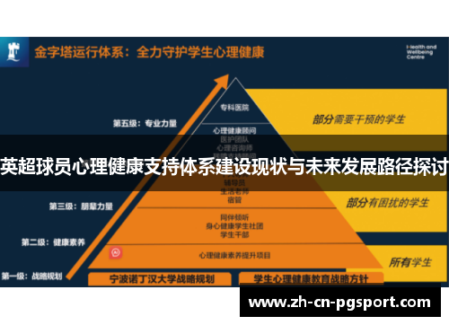 英超球员心理健康支持体系建设现状与未来发展路径探讨