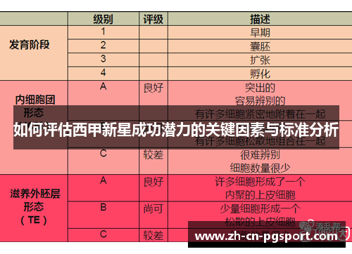 如何评估西甲新星成功潜力的关键因素与标准分析