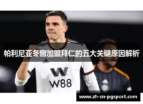 帕利尼亚冬窗加盟拜仁的五大关键原因解析