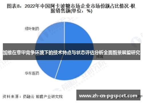 加维在意甲竞争环境下的技术特点与状态评估分析全面前景展望研究
