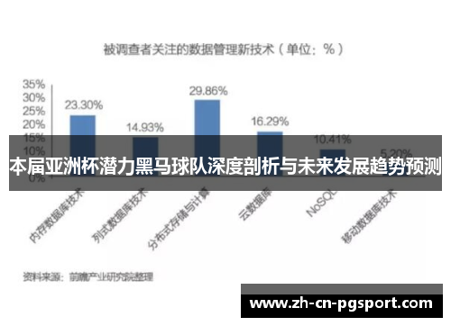 本届亚洲杯潜力黑马球队深度剖析与未来发展趋势预测