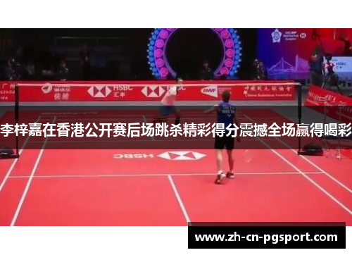 李梓嘉在香港公开赛后场跳杀精彩得分震撼全场赢得喝彩