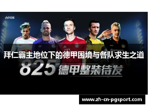 拜仁霸主地位下的德甲困境与各队求生之道